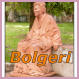 Bolgeri