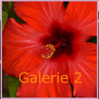 Galerie 2