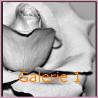 Galerie 1