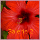 Galerie 2